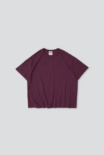Elwood Slub Tee In Maroon