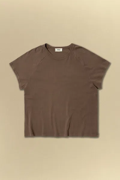 Elwood Ss Raglan Tee In Brown