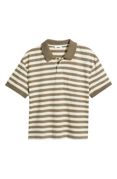 Elwood Stripe Distressed Crop Cotton Polo In Brown