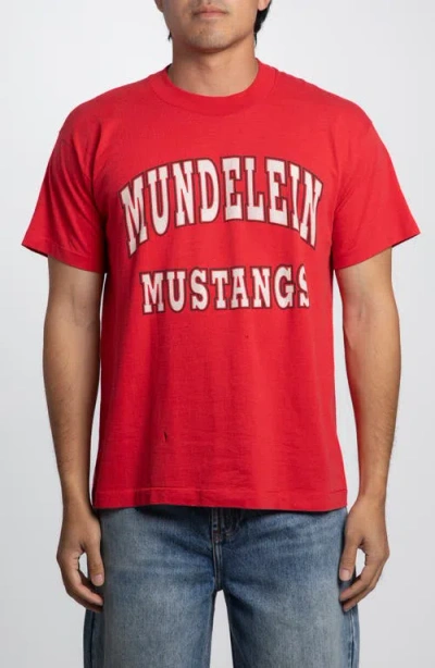 Elwood Vintage Mundelein Mustangs Tee In Multi