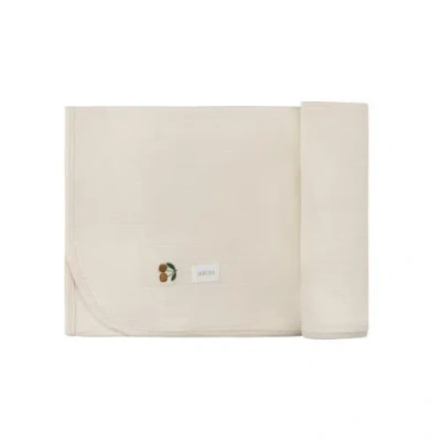 Ely's & Co. Aurora Classics Embroidered Cherry Print Collection In Multi