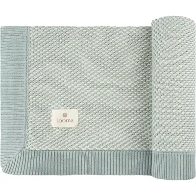 Ely's & Co. Bubble Knit Collection In Blue