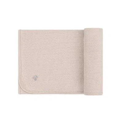 Ely's & Co. Squiggle Pointelle Collection In Beige