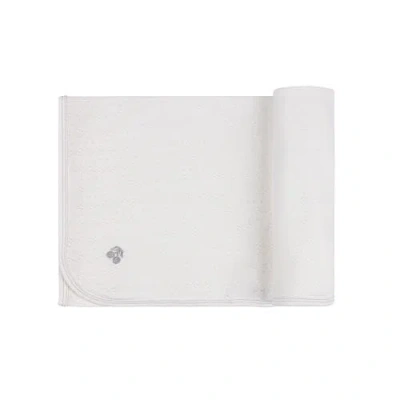 Ely's & Co. Squiggle Pointelle Collection In Boys Cream
