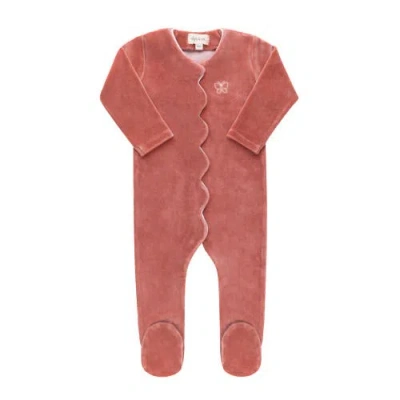 Ely's & Co. Velour Embroidered Bird & Butterfly Collection In Dark Pink