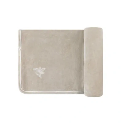 Ely's & Co. Velour Embroidered Bird & Butterfly Collection In Taupe