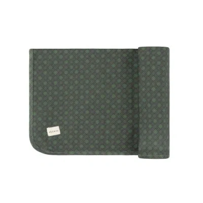 Ely's & Co. Velour Plaid Bear Collection In Green