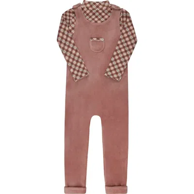 Ely's & Co. Velour Plaid Bear Collection In Brown
