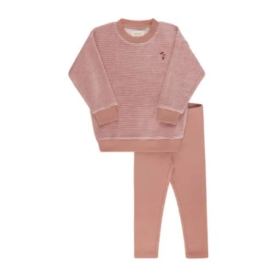 Ely's & Co. Kids'  Velour Stripe Collection In Brown