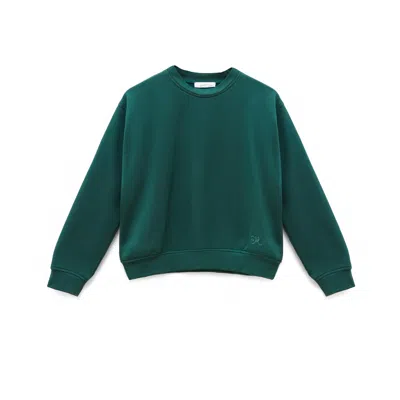 Em Basics Women's Penny Sweater Green