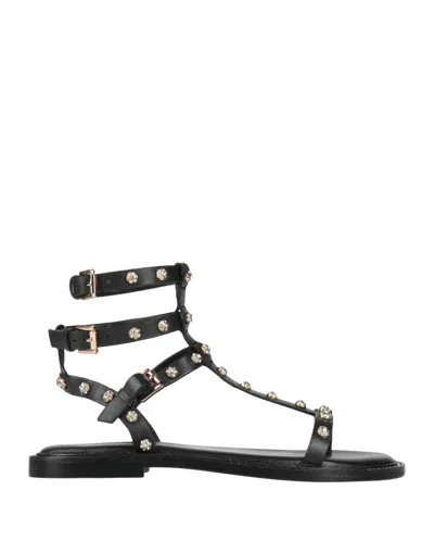 Emanuélle Vee Sandals In Black
