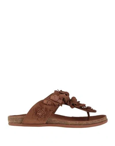 Emanuélle Vee Woman Thong Sandal Brown Size 8 Leather In Multi