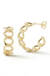 Ember Fine Jewelry 14k Gold Curb Chain Hoop Earrings In Gold