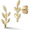 Ember Fine Jewelry Leaf Stud Earrings In Gold
