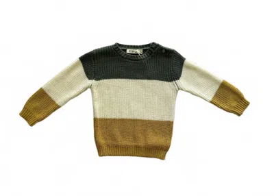 Emc Kids' Boy's Jacquard Knit Sweater In Multi