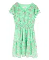 EMERALD SUNDAE BIG GIRLS SHORT SLEEVE LIME FLORAL CHIFFON DRESS