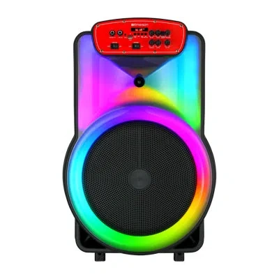 Emerson 15" Party Speaker With Flame Lighting In Black