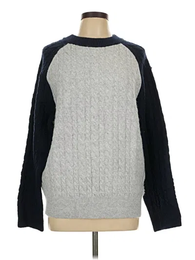 Pre-owned Emery Rose Pullover Sweater In Gray