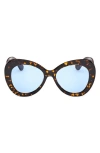 Pucci Emilio  56mm Round Sunglasses In Dark Havana/bright Blue