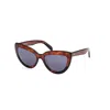 Pucci Brown Acetate Sunglasses