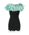 Pucci Lace Dress