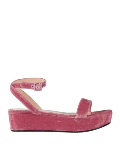 Pucci Emilio  Woman Sandals Pastel Pink Size 10 Textile Fibers
