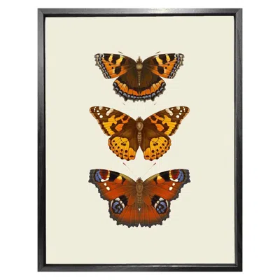 Emily Carter 'antique British Butterflies Iv' Fine Art Print L