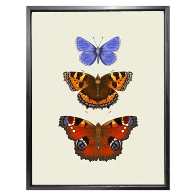 Emily Carter 'antique British Butterflies Vi' Fine Art Print S In Multi