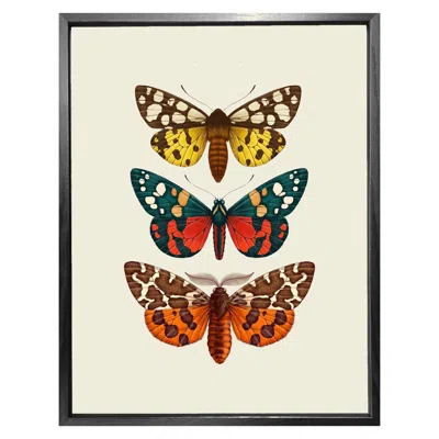 Emily Carter 'antique British Moths' Fine Art Print L In Multi