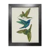 Emily Carter Antique Hummingbirds Iii Cream - Fine Art Print M In Green