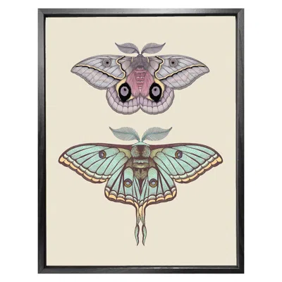 Emily Carter Antique Luna & Automeris Frankae Moths Fine Art Print A4 In Multi
