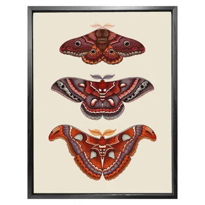 Emily Carter 'antique Moths' Fine Art Print A4 In Red