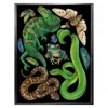 Emily Carter Antique Reptiles & Amphibians - Black Fine Art Print - A5 In Green