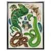 Emily Carter Antique Reptiles & Amphibians - Cream Fine Art Print A4 In Green