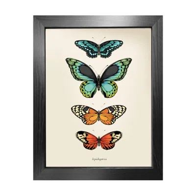 Emily Carter 'antique Tropical Butterflies Ii' Fine Art Print A4 In Multi