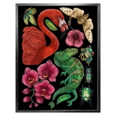 Emily Carter Antique Tropical Flora & Fauna - Black Fine Art Print A5 In Multi