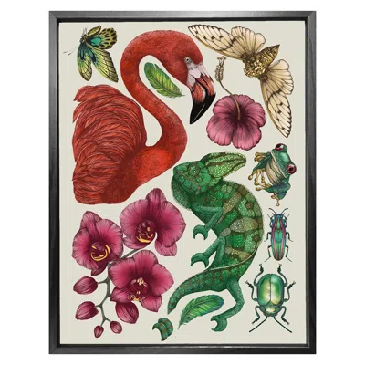 Emily Carter Antique Tropical Flora & Fauna - Cream Fine Art Print A4 In Multi