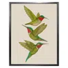 Emily Carter 'antique Tropical Hummingbirds' Cream Fine Art Print S In Green
