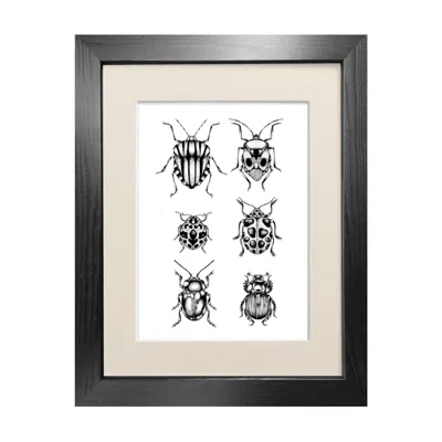 Emily Carter Black 'british Beetles' Fine Art Print A3