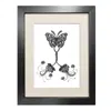 Emily Carter Black 'coenia Oculus' - Fine Art Print A3 In Black