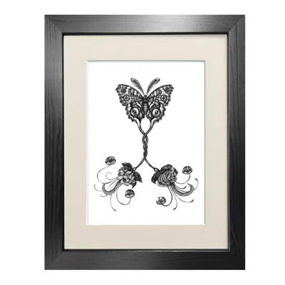 Emily Carter Black 'coenia Oculus' - Fine Art Print A3