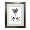 Emily Carter Black 'coenia Oculus' - Fine Art Print A5 In Black
