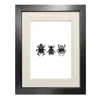 Emily Carter Black 'dung Beetles' - Fine Art Print A3 In Black
