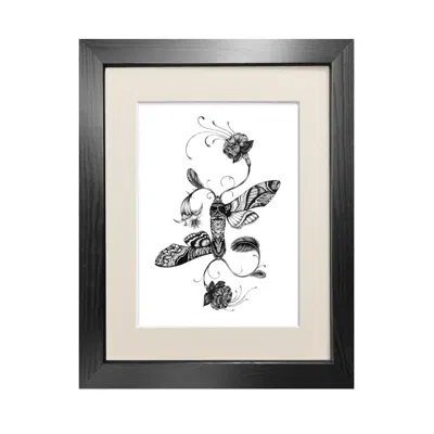 Emily Carter Black Fuchsiadoptera Fine Art Print A3