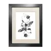 Emily Carter Black 'fuchsiadoptera' Fine Art Print A4 In Black