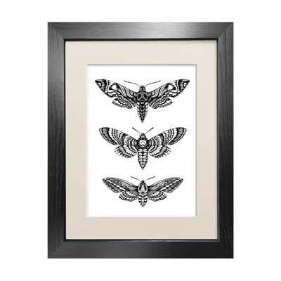 Emily Carter Black 'hawk Moths' - Fine Art Print A5