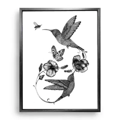 Emily Carter Black Hummingbird & Hibiscus Fine Art Print M