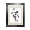 Emily Carter Black 'hummingbirds & Honeysuckle' Fine Art Print A5 In Black