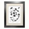 Emily Carter Black 'magellanicadoptera' Fine Art Print A4 In Black