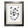 Emily Carter Black 'magellanicadoptera' Fine Art Print A5 In Black